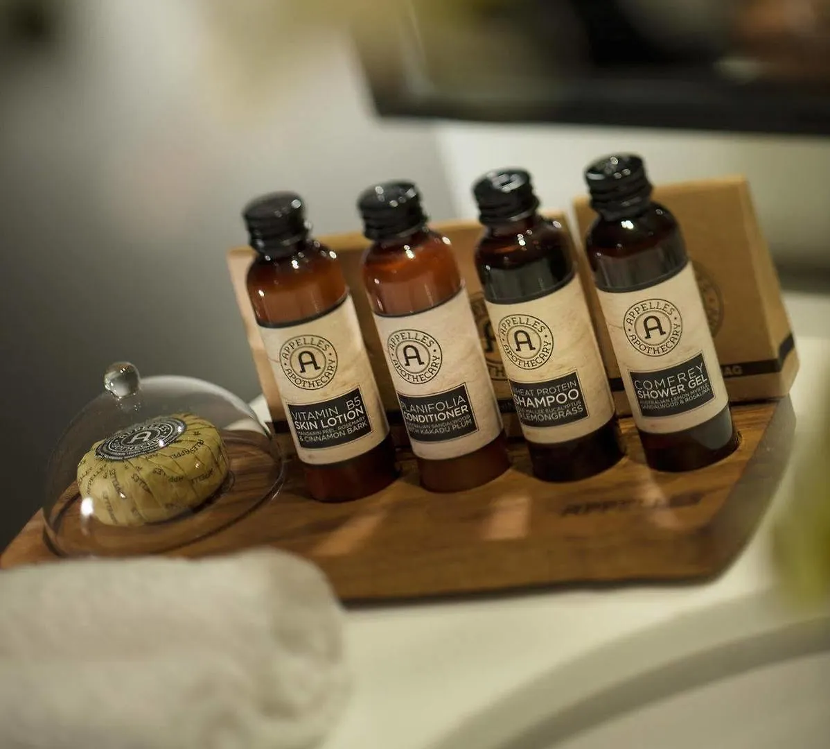 Mayfair Hotel Adelaide